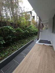 Cabana (D28), Terrace #497360431